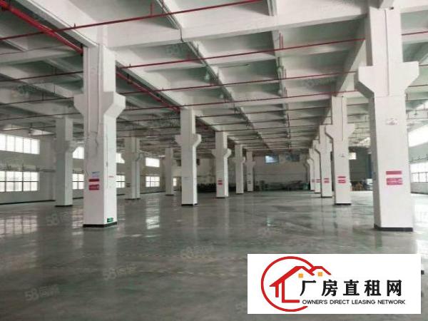 &nbsp;五高新科技园一二楼带行车出租兴业办厂的发财宝地
